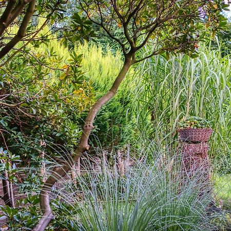 Schwanennest Am Haddorfer See * Top Ausstattung Wettringen  Exterior foto